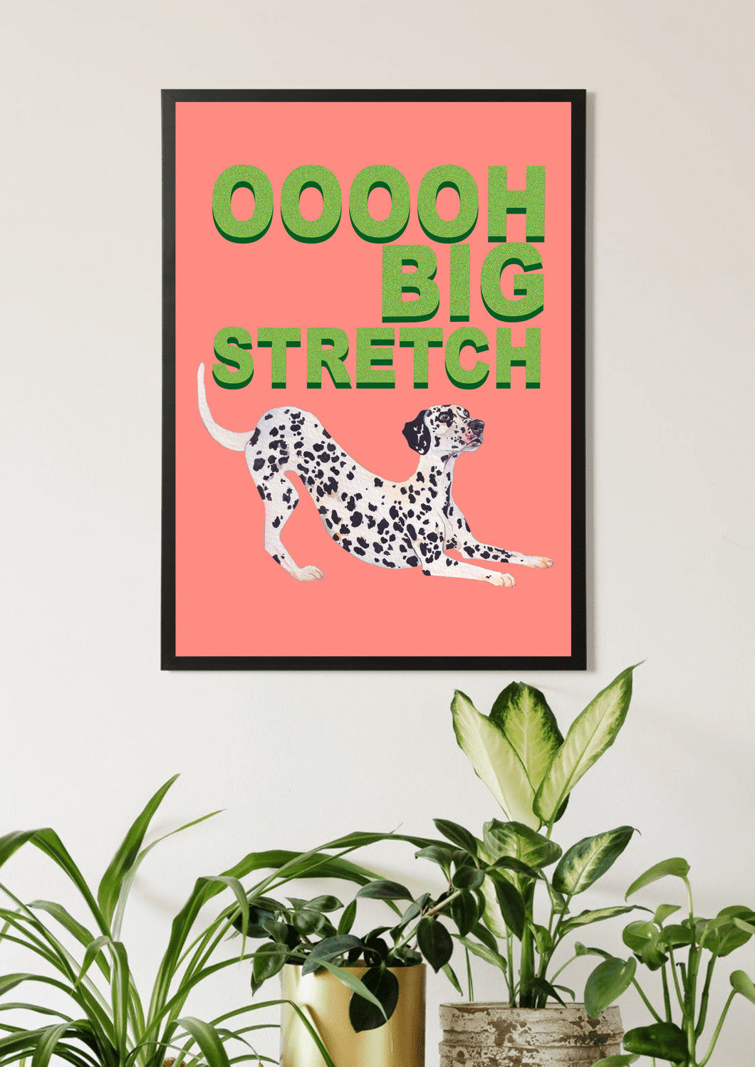 Big Stretch Dalmatian / Pink