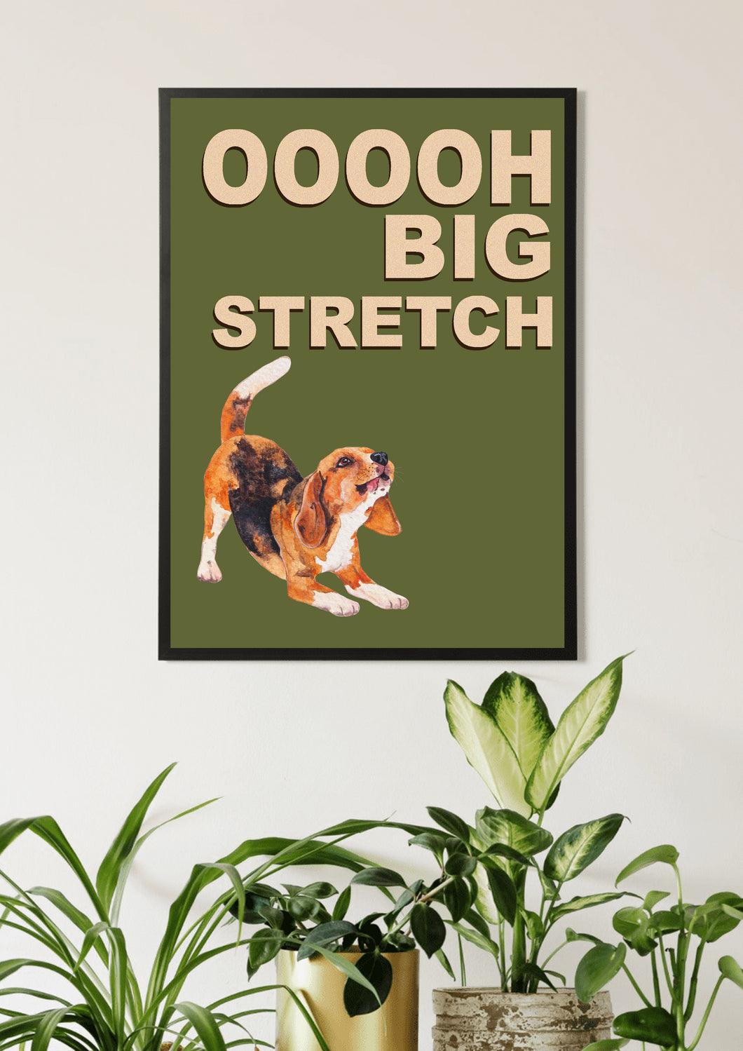 Big Stretch Beagle / Green