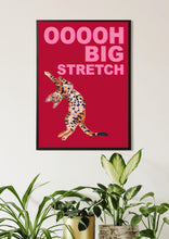 Load image into Gallery viewer, Big Stretch Bengal / Red
