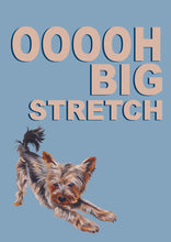 Load image into Gallery viewer, Big Stretch Yorkie
