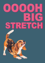 Load image into Gallery viewer, Big Stretch Beagle / Blue

