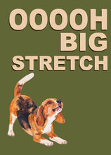 Load image into Gallery viewer, Big Stretch Beagle / Green
