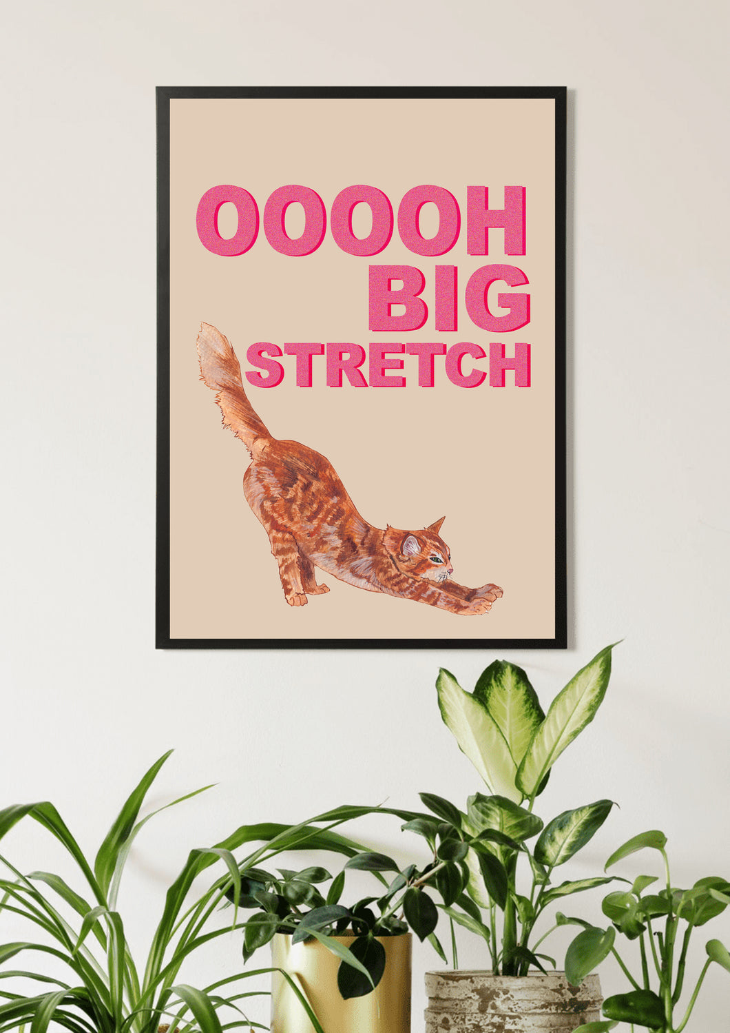 Big Stretch Tabby / Latte