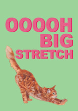 Load image into Gallery viewer, Big Stretch Tabby / Mint
