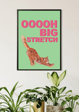 Load image into Gallery viewer, Big Stretch Tabby / Mint
