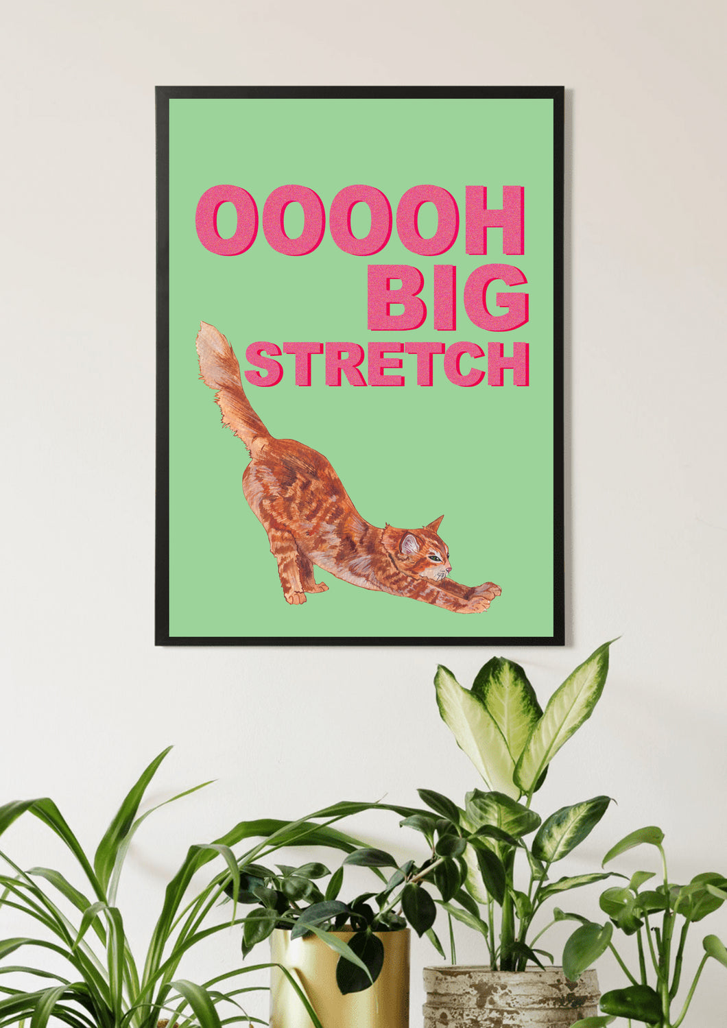 Big Stretch Tabby / Mint