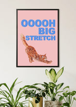 Load image into Gallery viewer, Big Stretch Tabby / Pink
