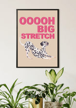 Load image into Gallery viewer, Big Stretch Dalmatian / Latte
