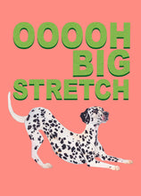 Load image into Gallery viewer, Big Stretch Dalmatian / Pink
