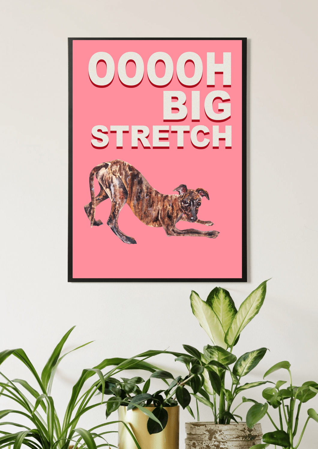 Big Stretch Greyhound Pink