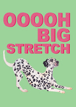 Load image into Gallery viewer, Big Stretch Dalmatian / Mint
